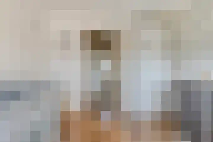 Triangeldreef 70 Etten-Leur thumbnail 30