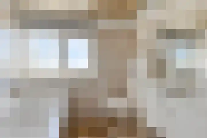 Triangeldreef 70 Etten-Leur thumbnail 31