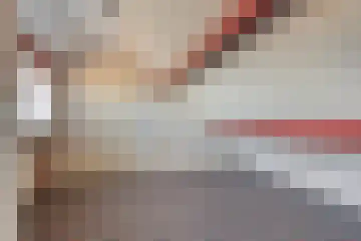 Triangeldreef 70 Etten-Leur thumbnail 34