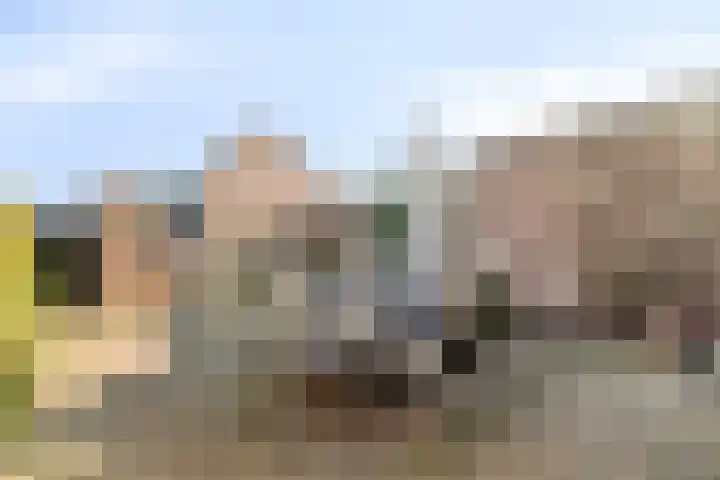 Triangeldreef 70 Etten-Leur thumbnail 36