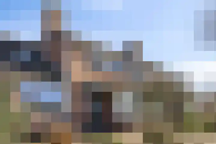 Triangeldreef 70 Etten-Leur thumbnail 42