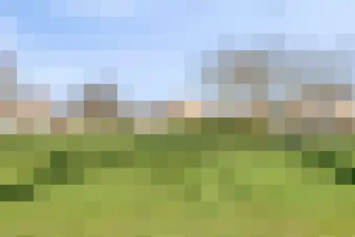 Triangeldreef 70 Etten-Leur thumbnail 44