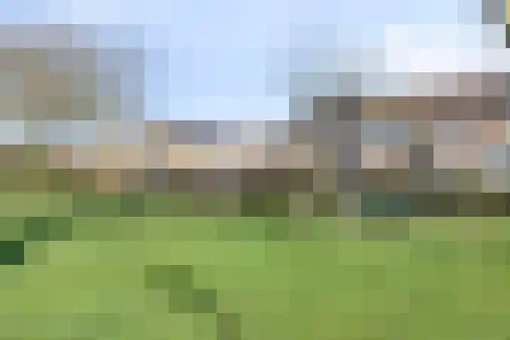 Triangeldreef 70 Etten-Leur thumbnail 45