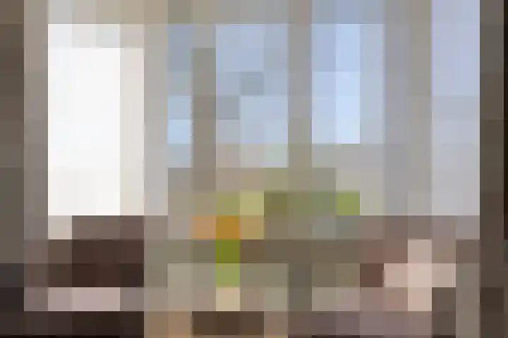 Triangeldreef 70 Etten-Leur thumbnail 7