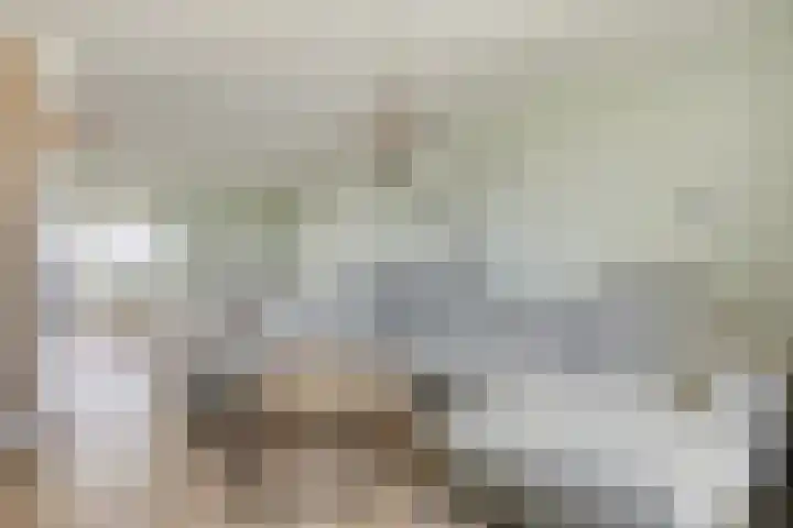 Triangeldreef 70 Etten-Leur thumbnail 8