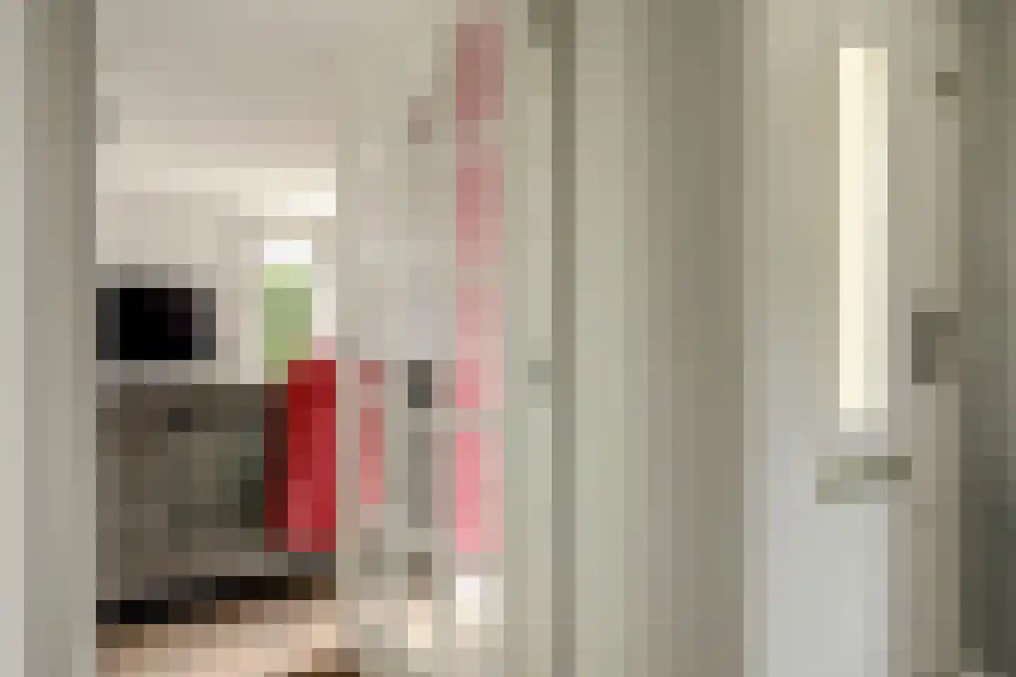 Triangelhof 174 Zaandijk thumbnail 11