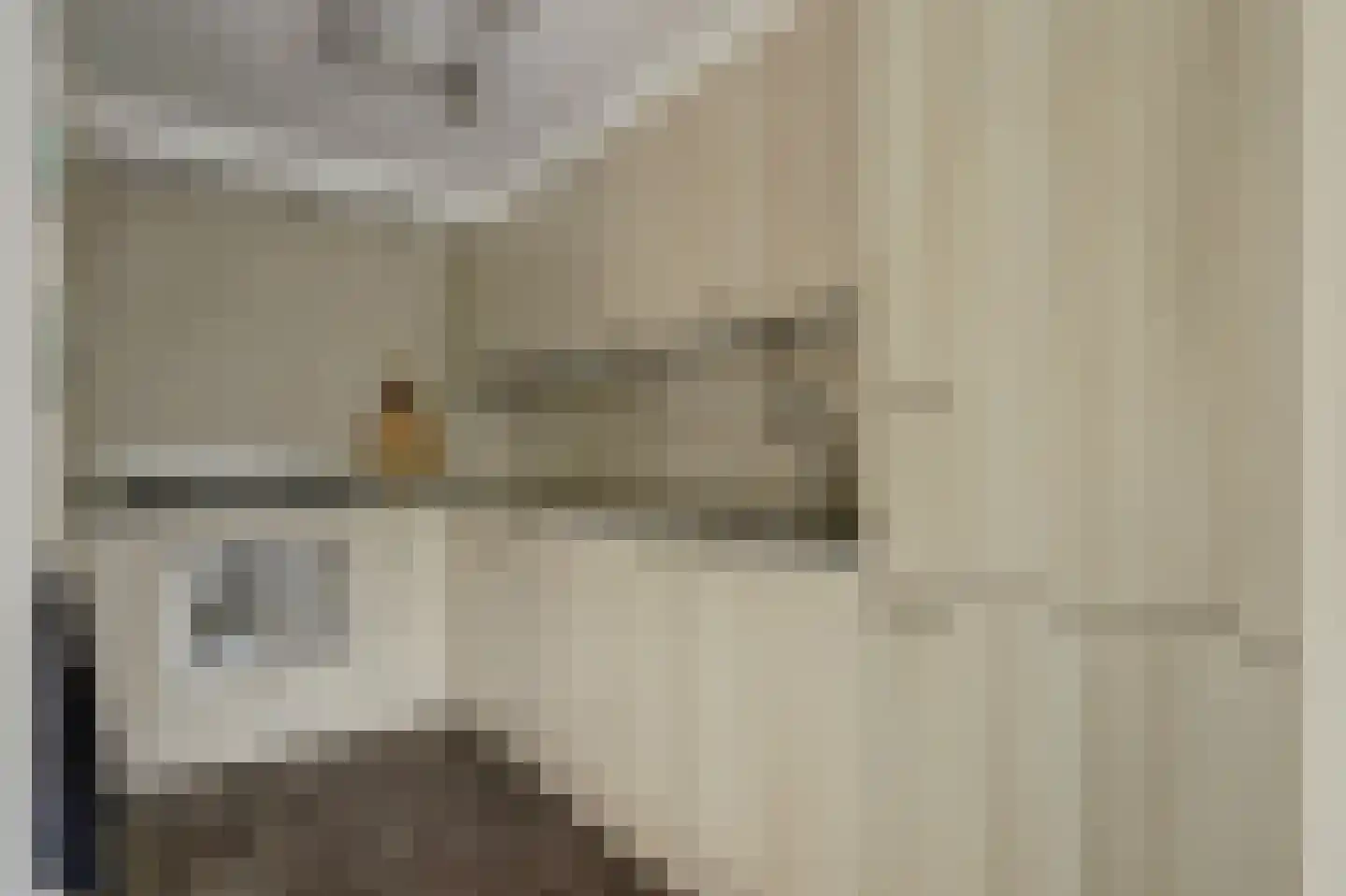 Triangelhof 174 Zaandijk thumbnail 13