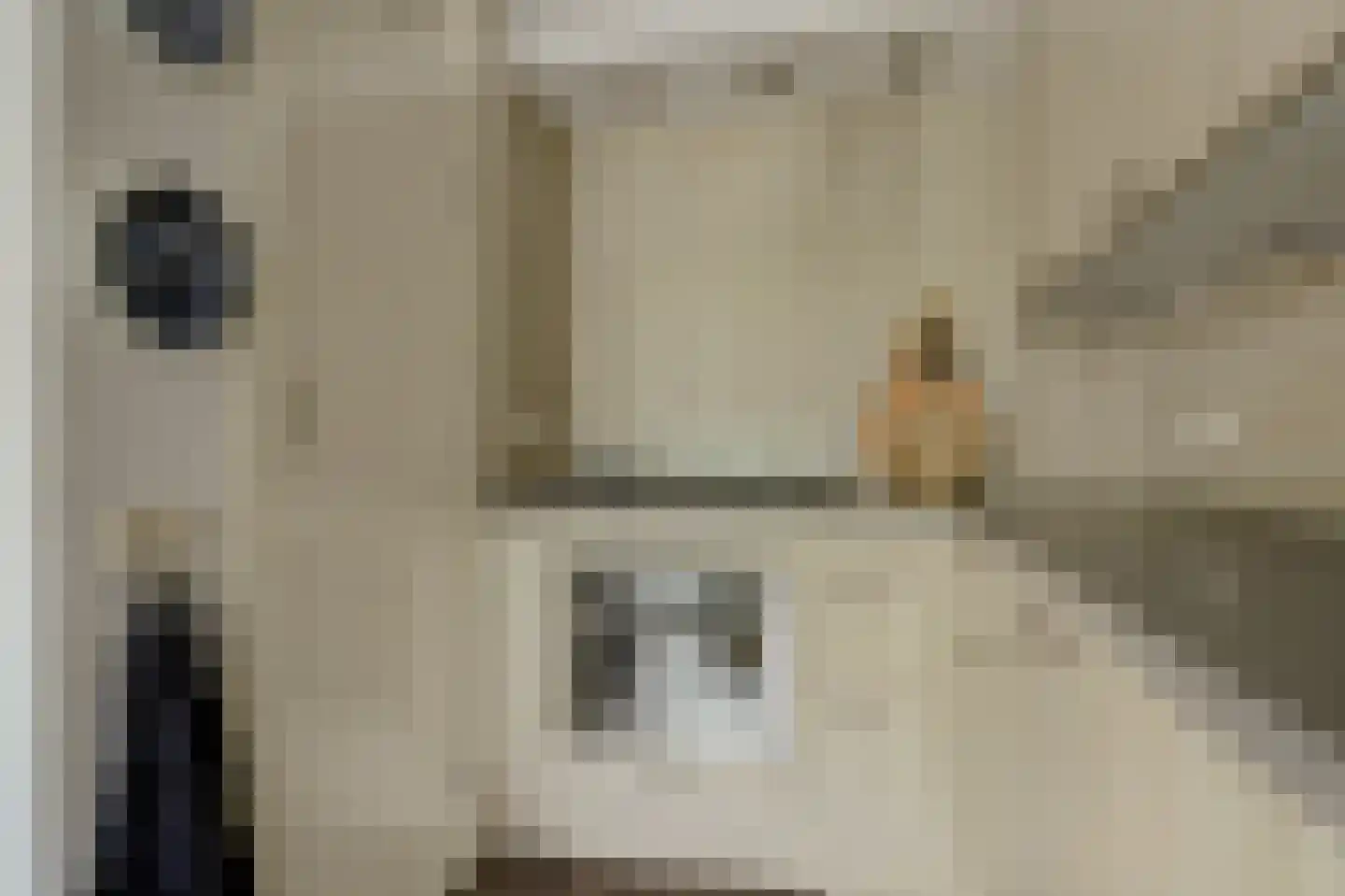 Triangelhof 174 Zaandijk thumbnail 14