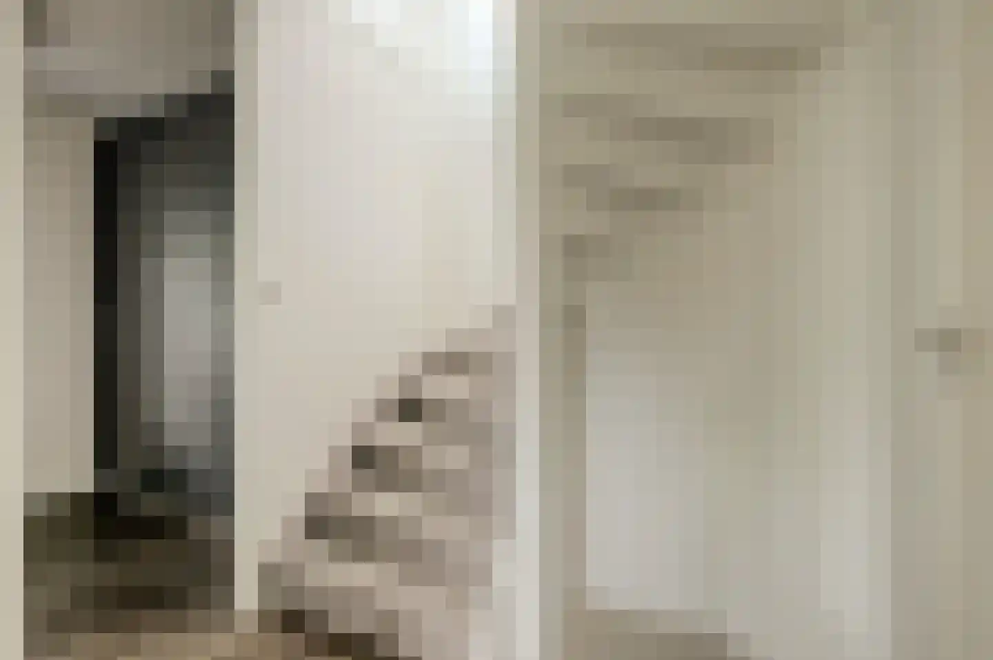 Triangelhof 174 Zaandijk thumbnail 16