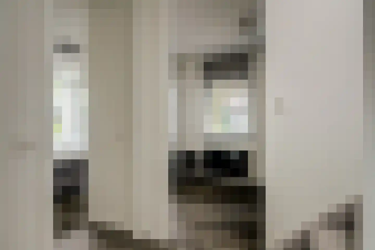 Triangelhof 174 Zaandijk thumbnail 21