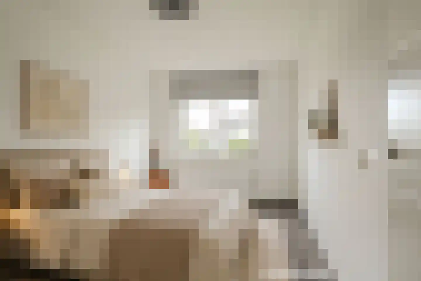Triangelhof 174 Zaandijk thumbnail 26