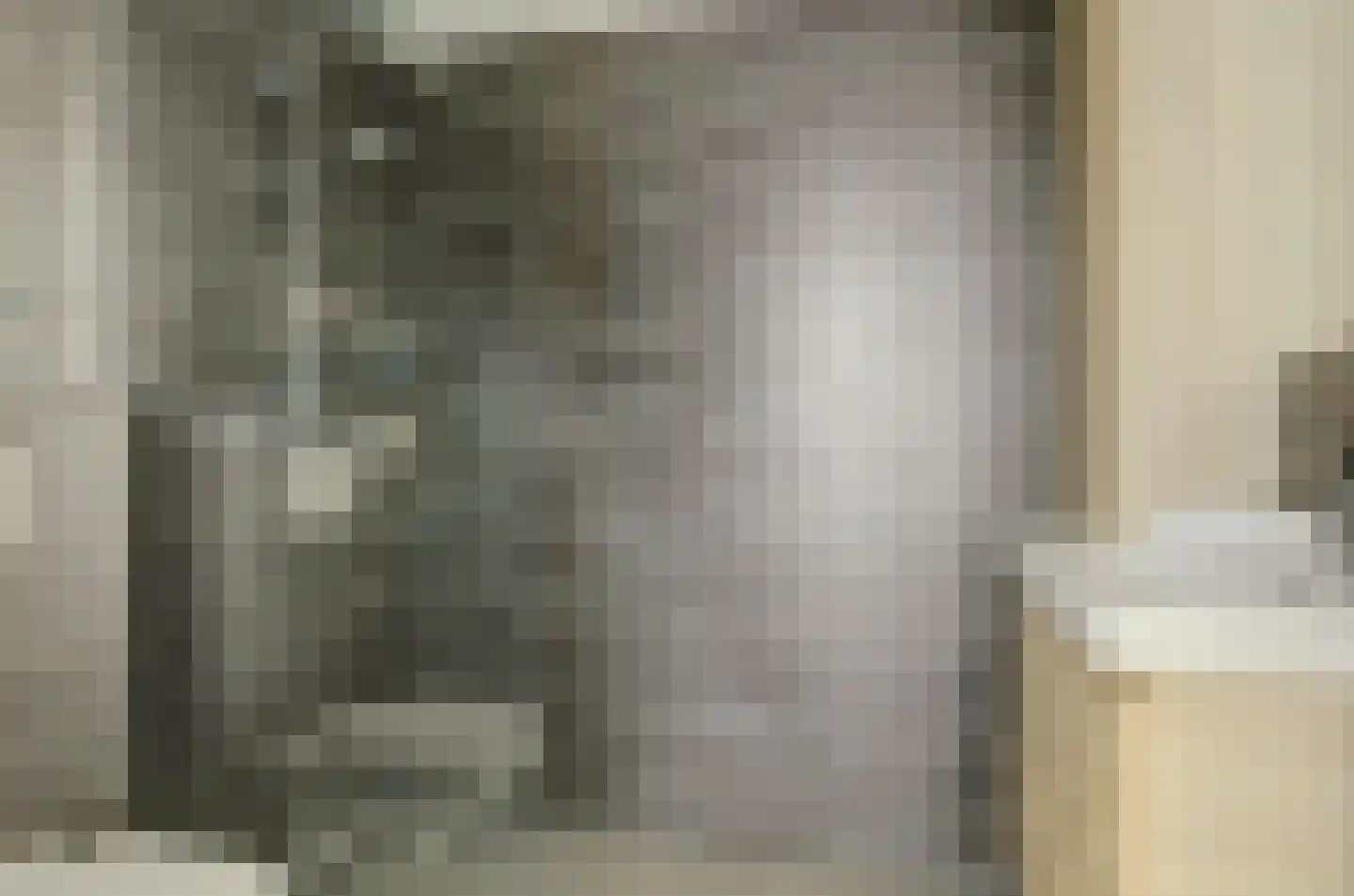 Triangelhof 174 Zaandijk thumbnail 28