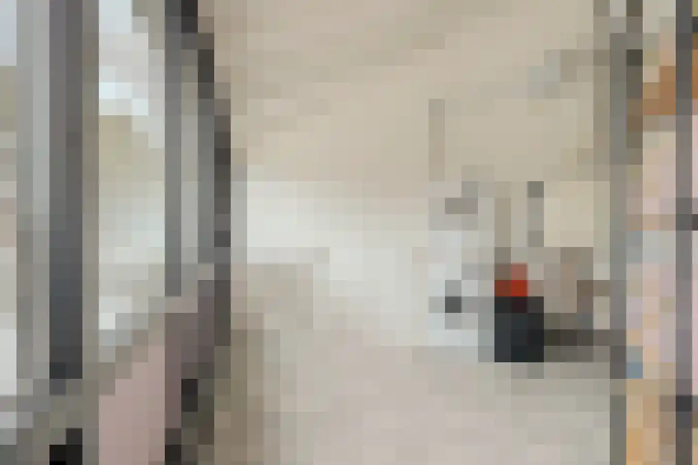 Triangelhof 174 Zaandijk thumbnail 31