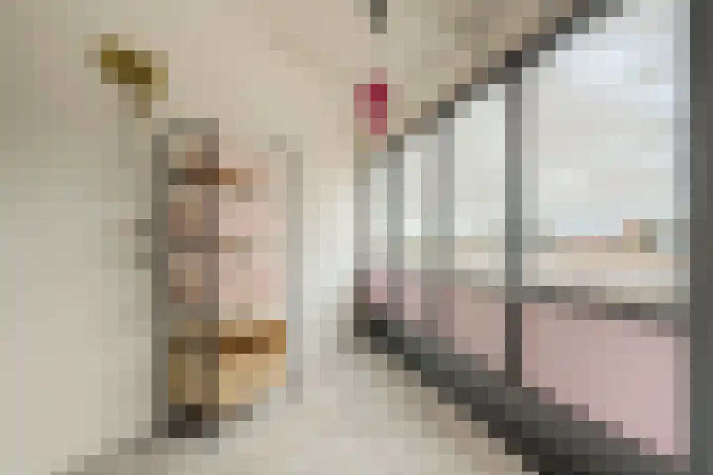 Triangelhof 174 Zaandijk thumbnail 32