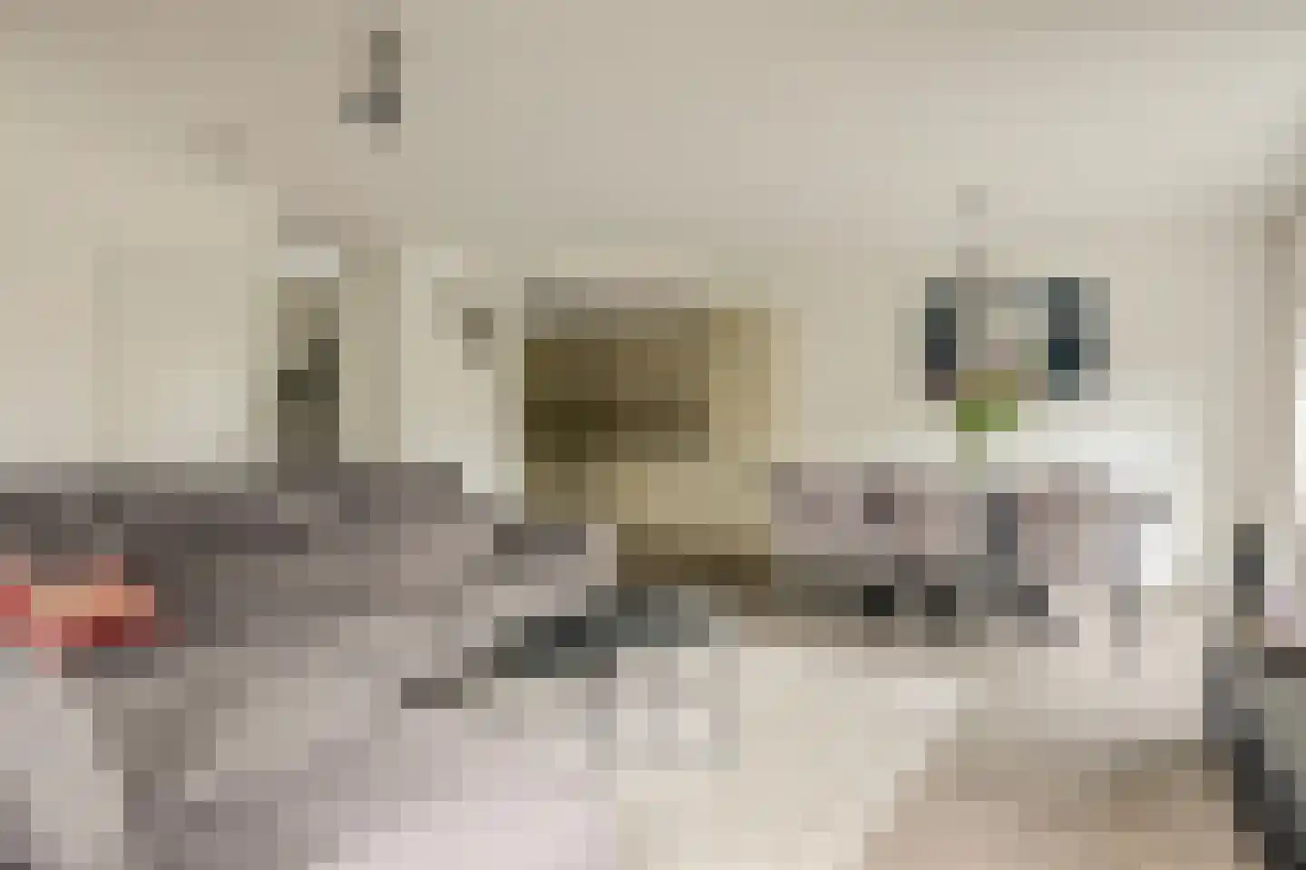 Triangelhof 174 Zaandijk thumbnail 4