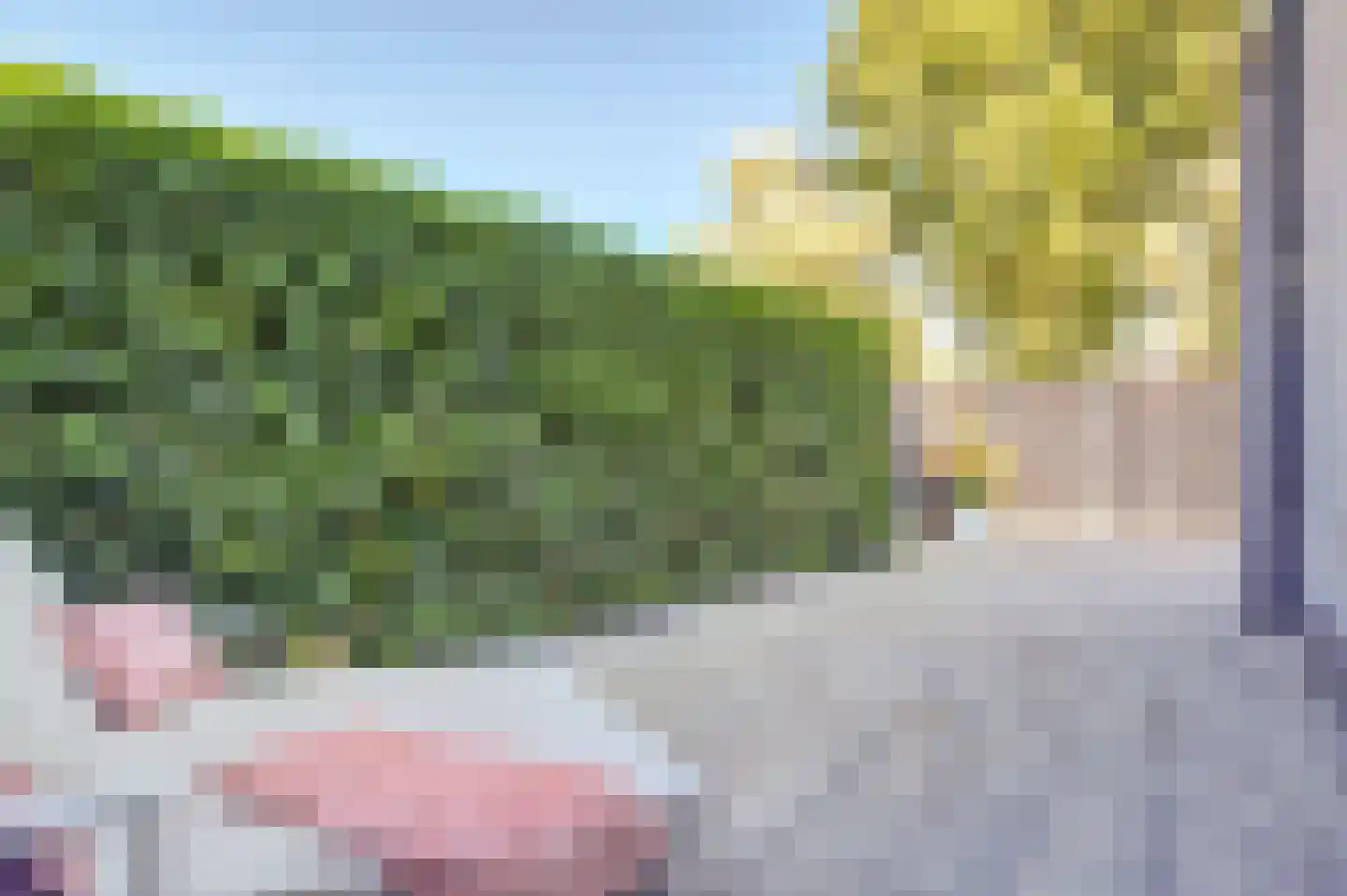 Triangelhof 174 Zaandijk thumbnail 45