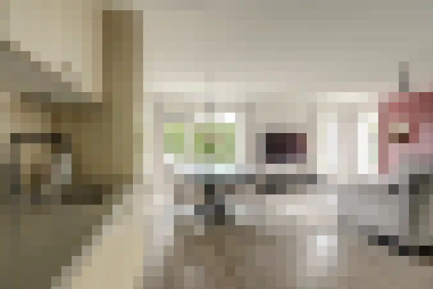 Triangelhof 174 Zaandijk thumbnail 5