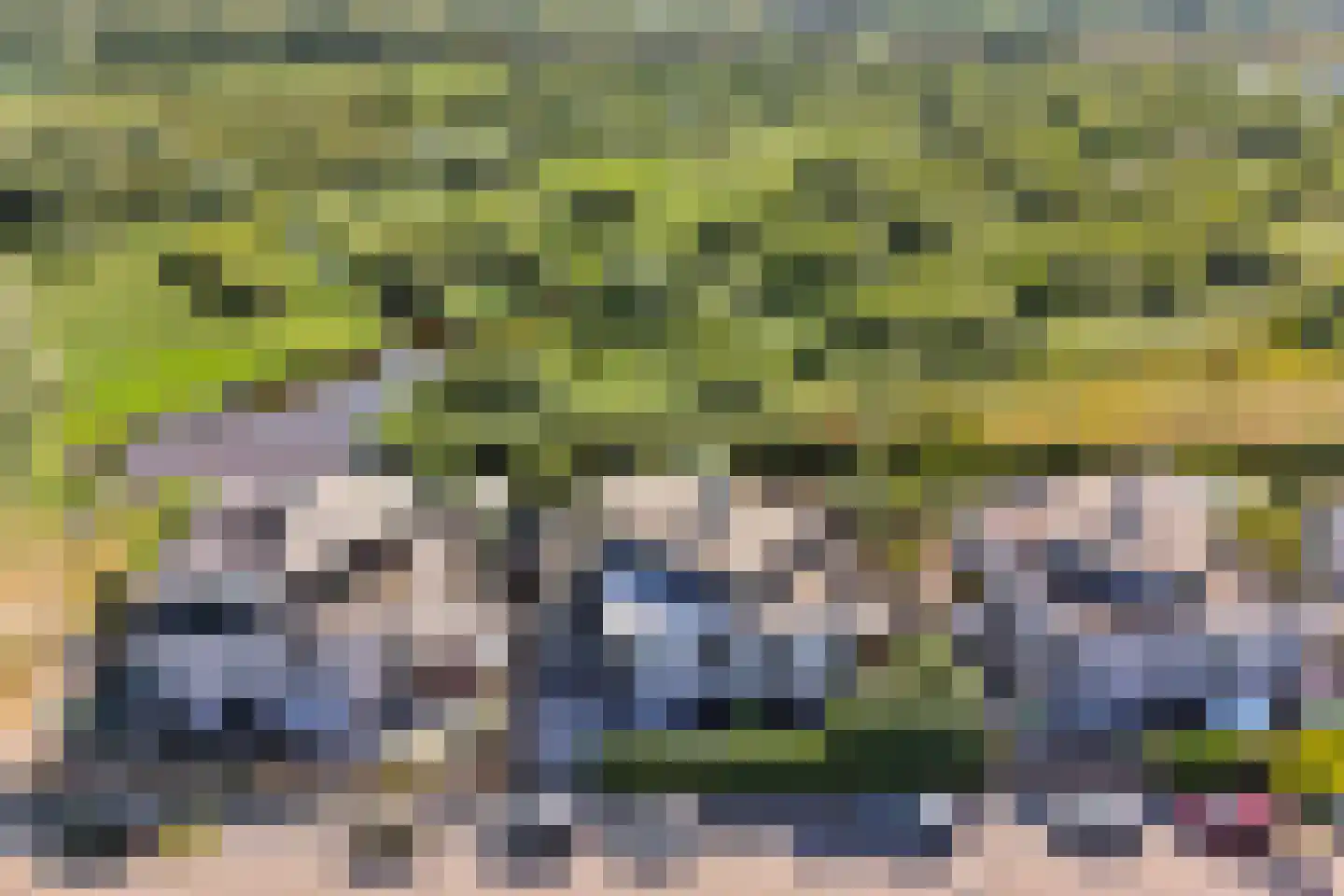 Triangelhof 174 Zaandijk thumbnail 52