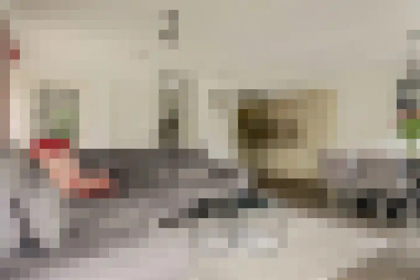 Triangelhof 174 Zaandijk thumbnail 6