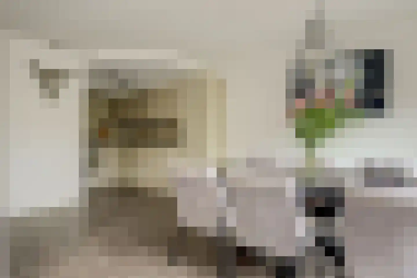 Triangelhof 174 Zaandijk thumbnail 8