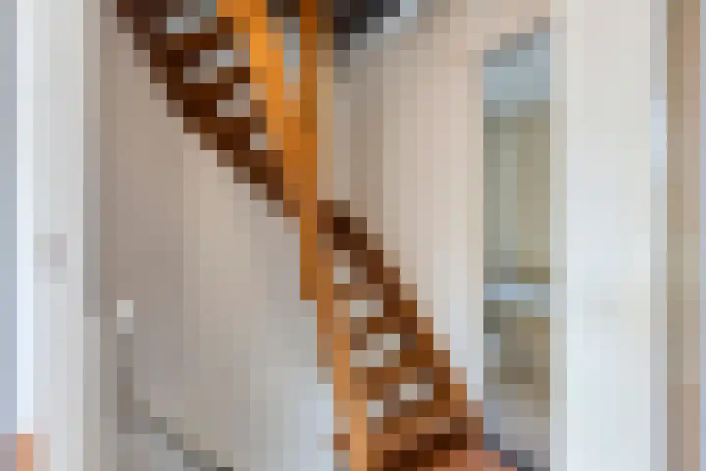 Triangelstraat 15 Nijmegen thumbnail 20