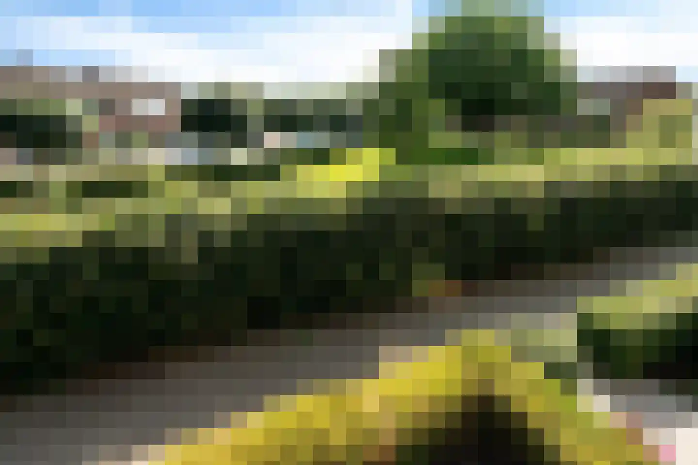 Triangelstraat 20 Arkel thumbnail 32