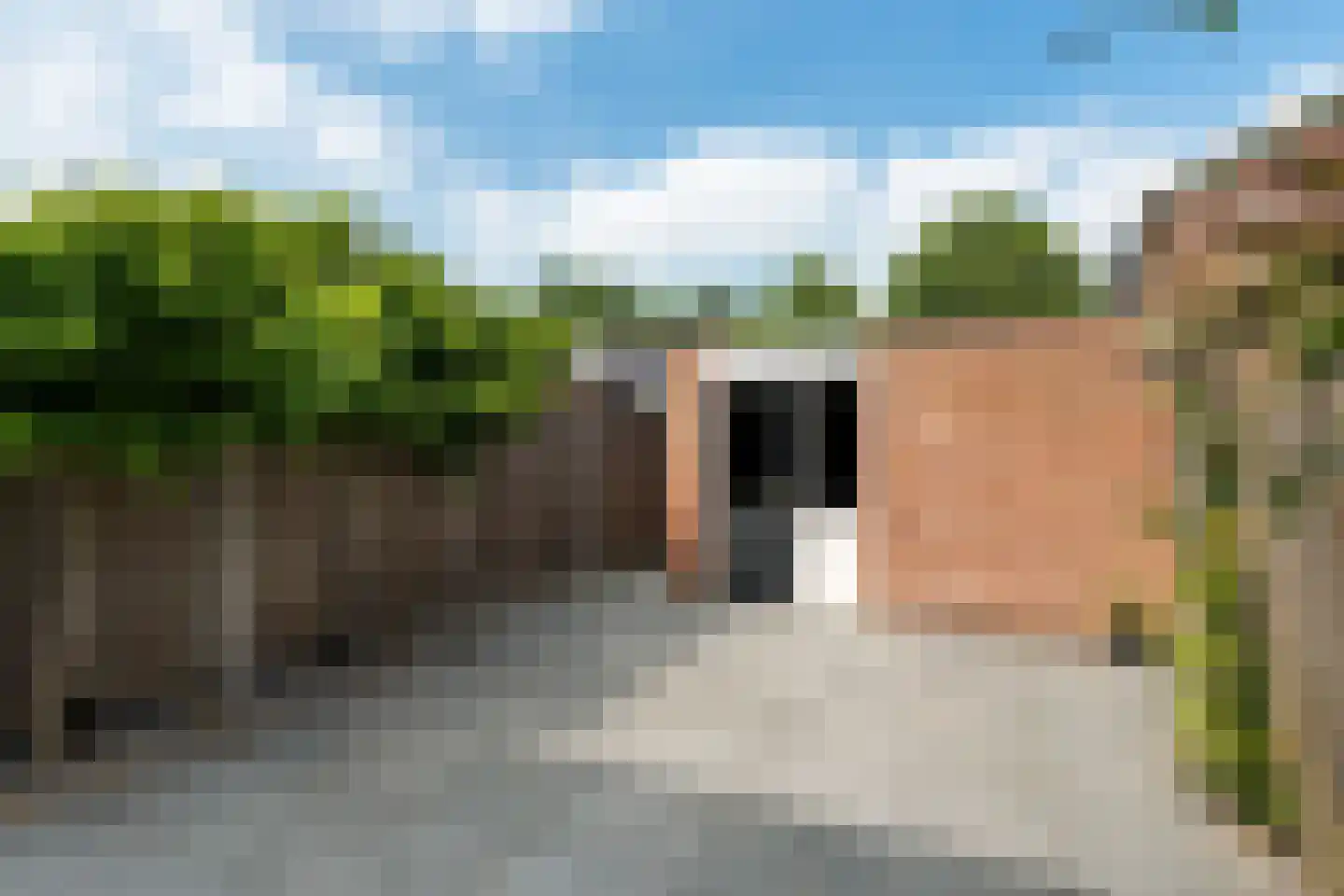 Triangelstraat 20 Arkel thumbnail 34