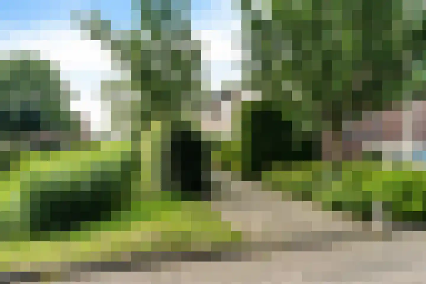 Triangelstraat 20 Arkel thumbnail 4