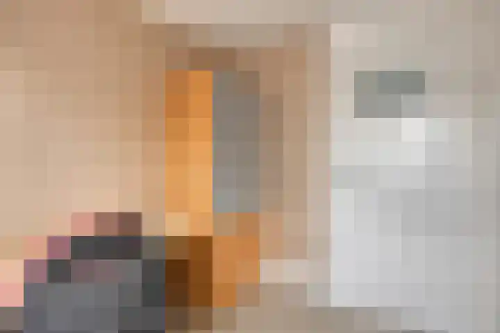 Triangelstraat 40 Uden thumbnail 21