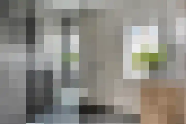 Triangelstraat 40 Uden thumbnail 22