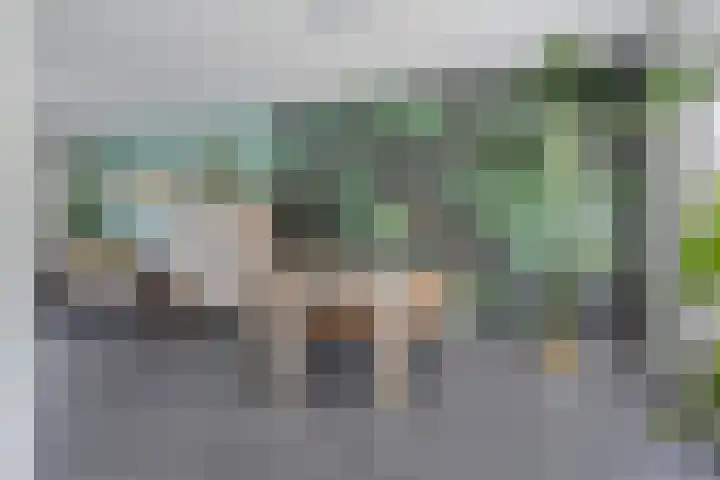 Triangelstraat 40 Uden thumbnail 9