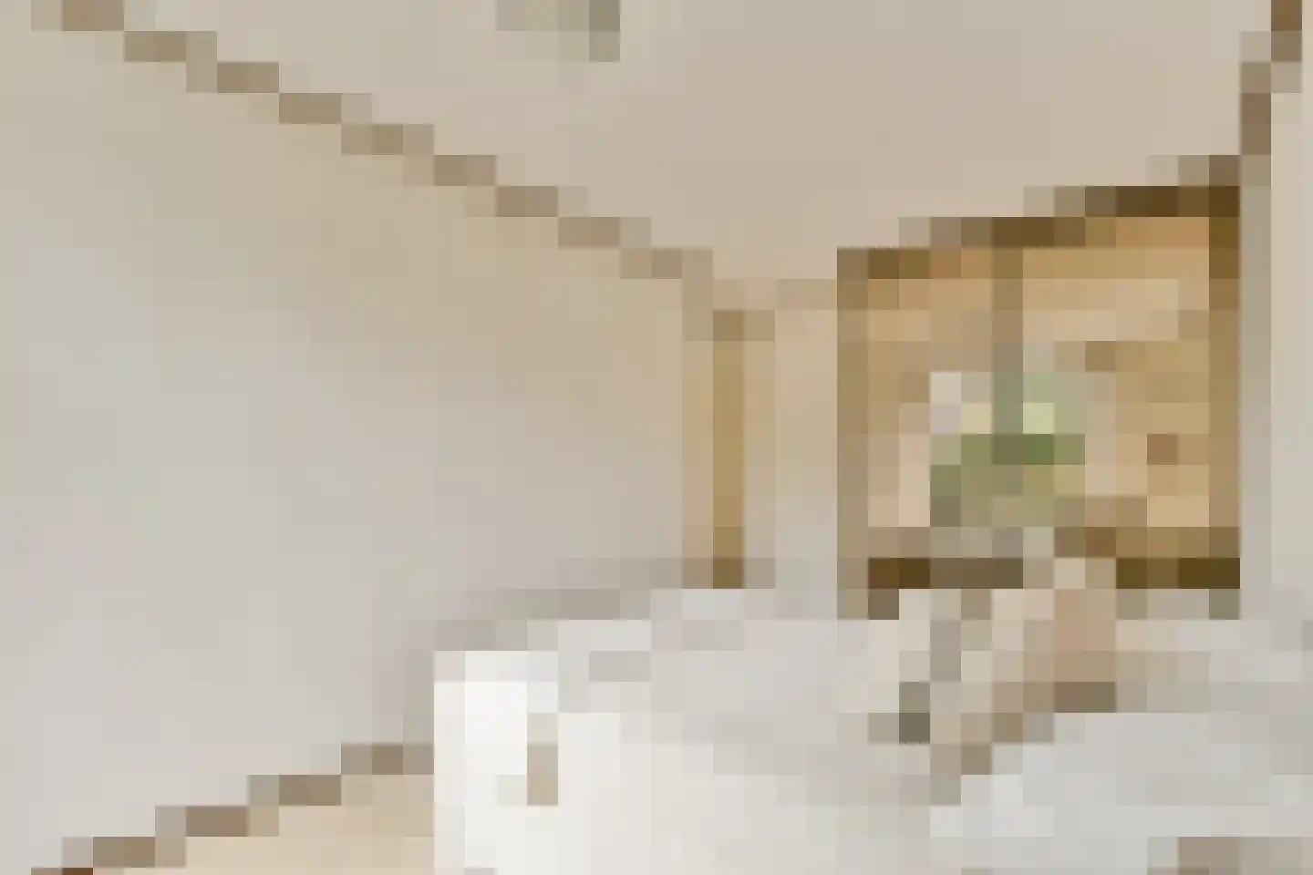 Triangelstraat 51 Amersfoort thumbnail 20