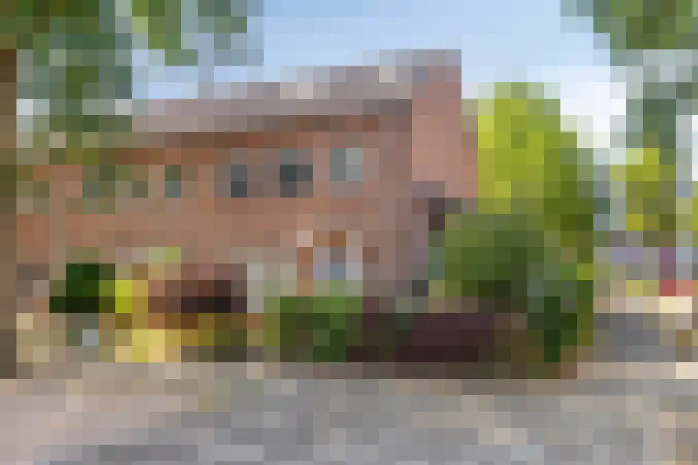 Triangelstraat 63 Nijmegen thumbnail 5