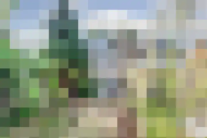 Triangelstraat 95 Nijmegen thumbnail 4