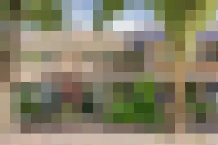 Triangelstraat 95 Nijmegen thumbnail 5