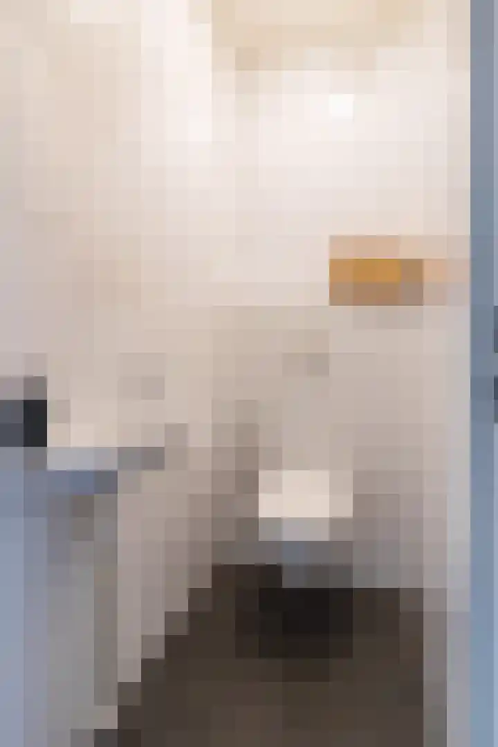 Trianon 27 Valkenburg thumbnail 14