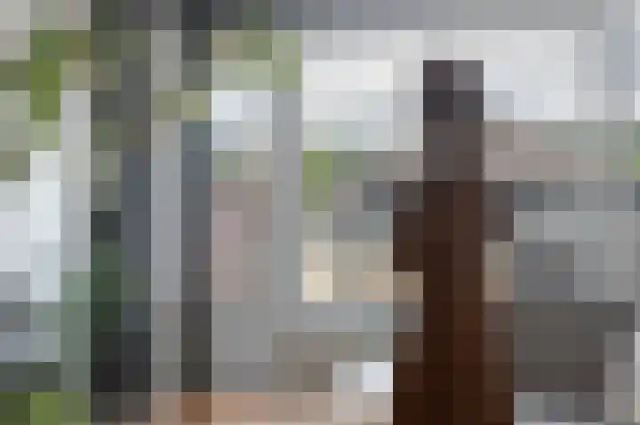 Trianon 27 Valkenburg thumbnail 8