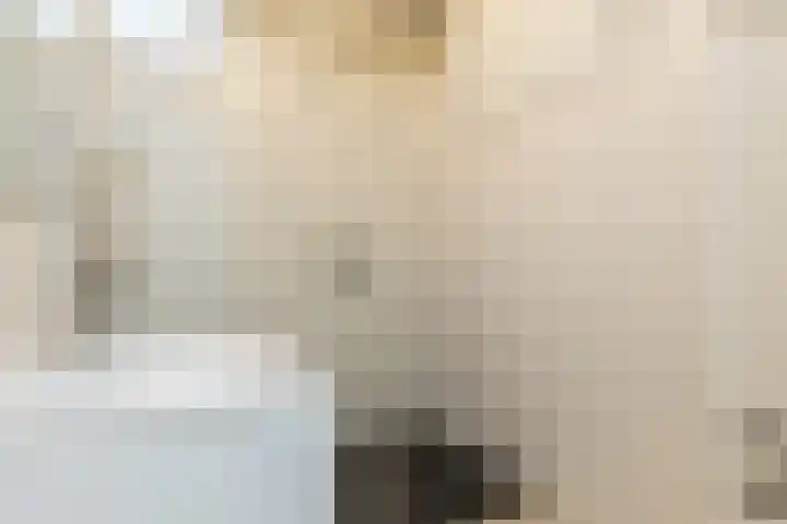 Trianon 4 Valkenburg thumbnail 13