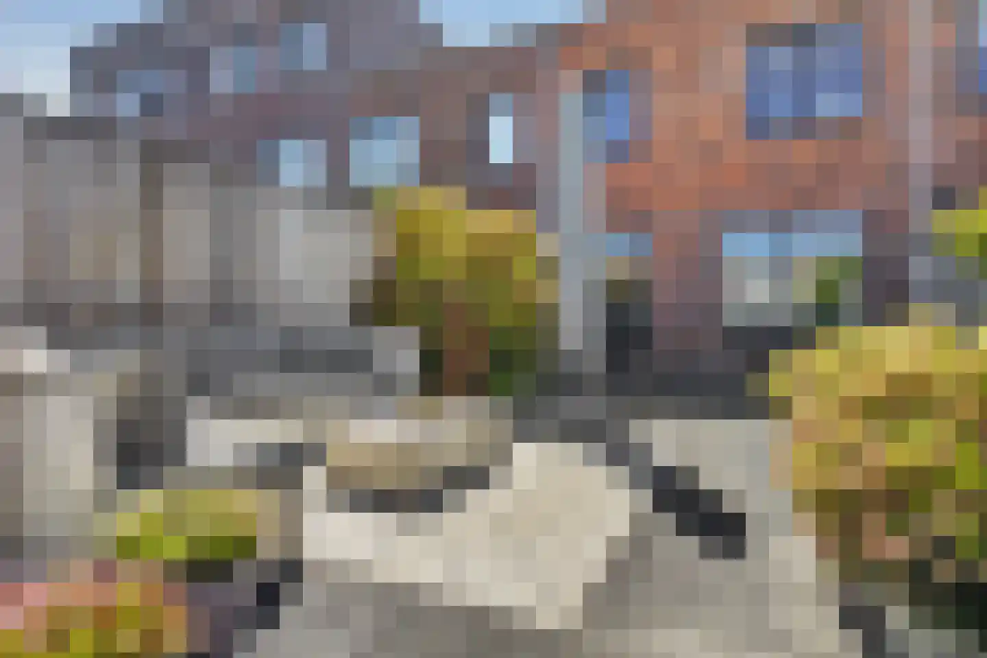 Triasgracht 27 Harderwijk thumbnail 32