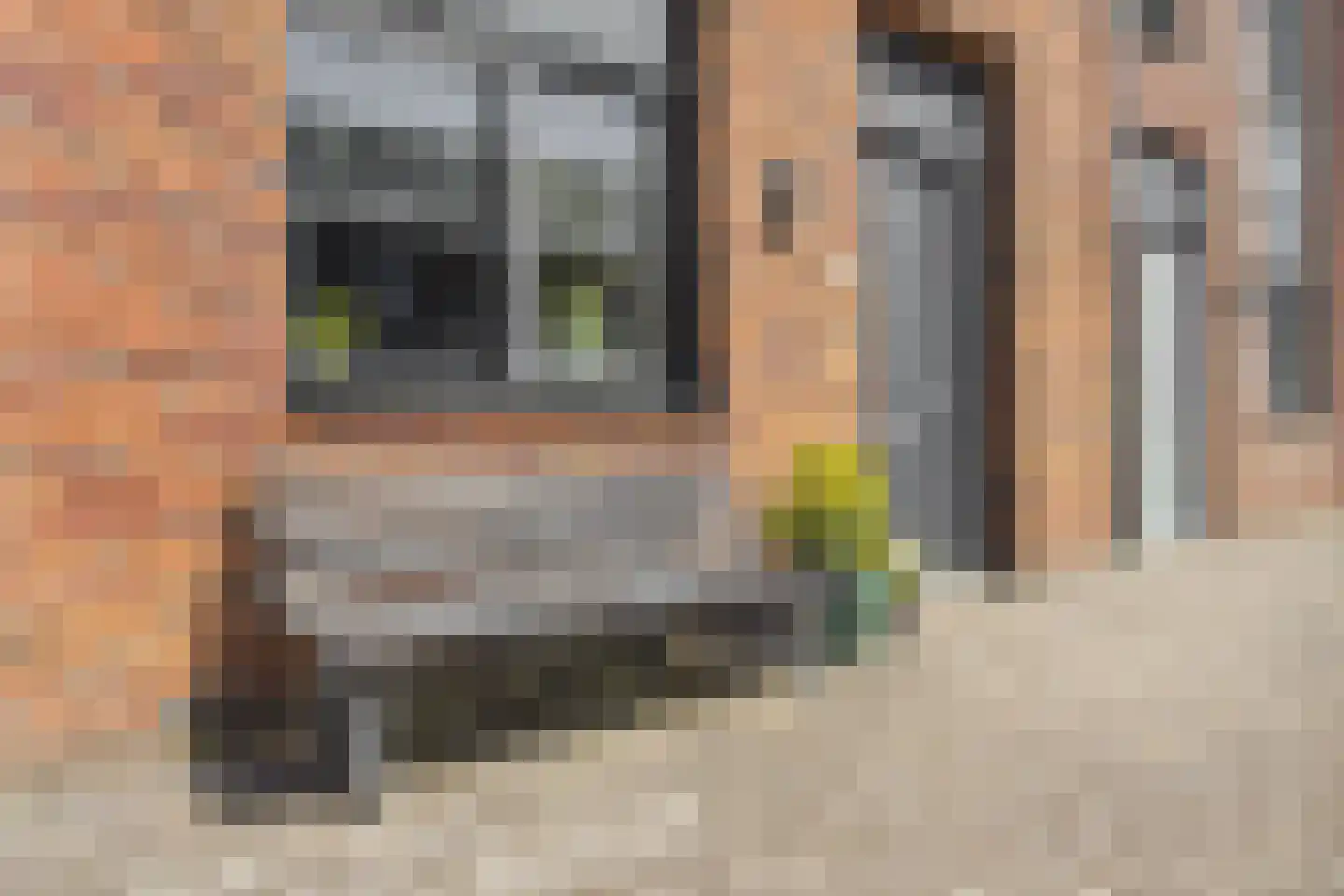 Triasgracht 27 Harderwijk thumbnail 7