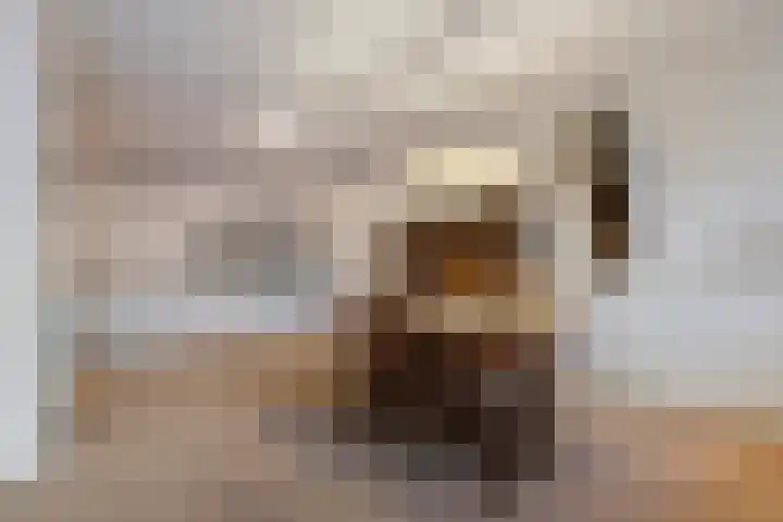 Triasplein 23 Harderwijk thumbnail 17