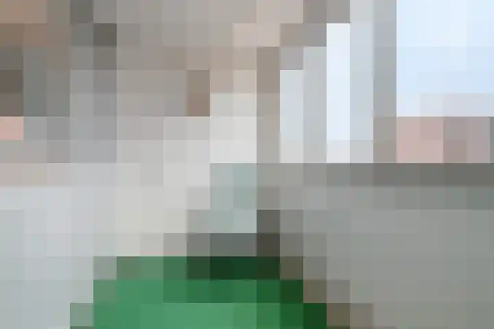 Triasplein 23 Harderwijk thumbnail 29