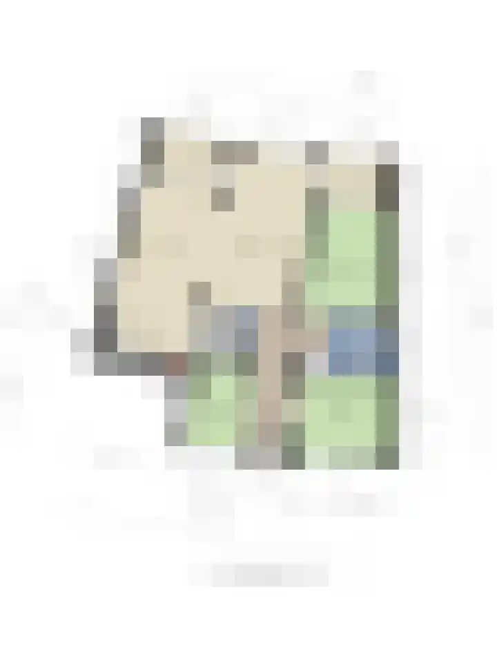Triasplein 23 Harderwijk thumbnail 44