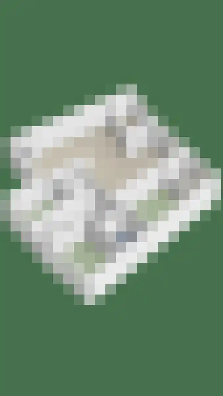 Triasplein 23 Harderwijk thumbnail 47