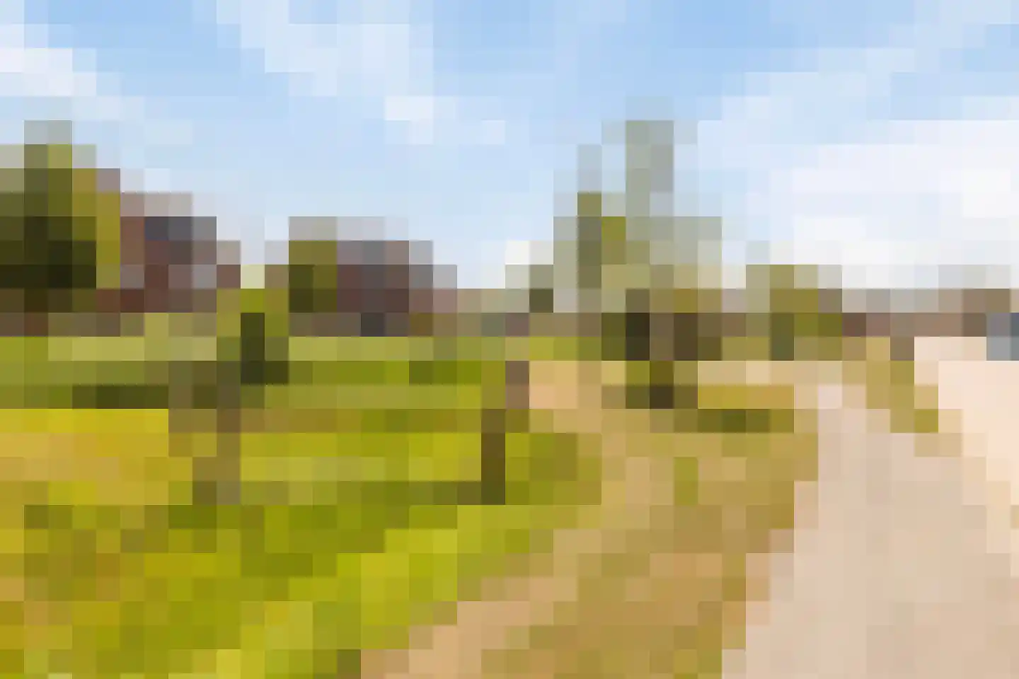 Triathlonweg 10 Hellevoetsluis thumbnail 47