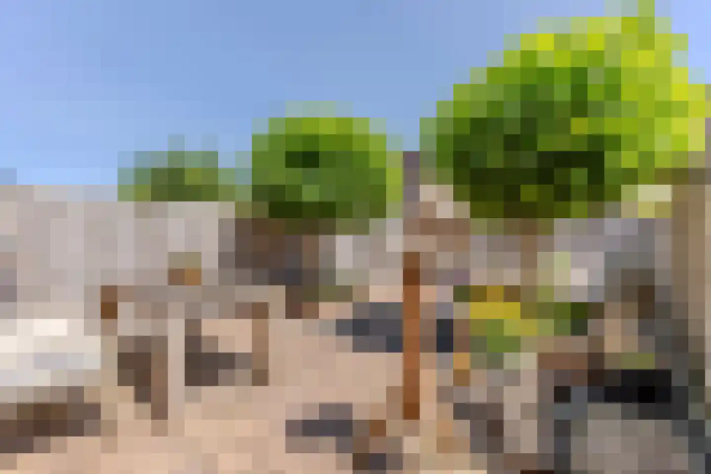 Triatlon 36 Assendelft thumbnail 19