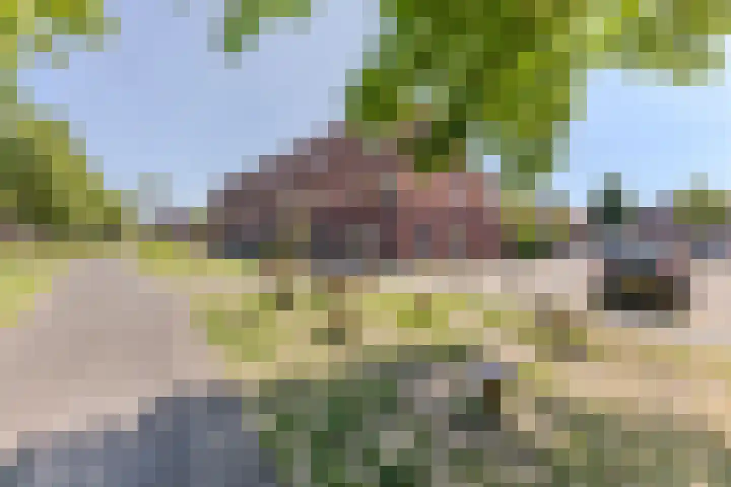 Triatlon 36 Assendelft thumbnail 43