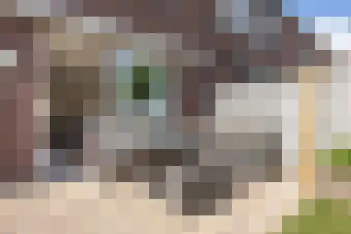 Triatlon 38 Assendelft thumbnail 8