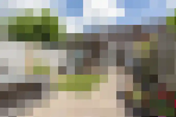 Triatlon 38 Assendelft thumbnail 9