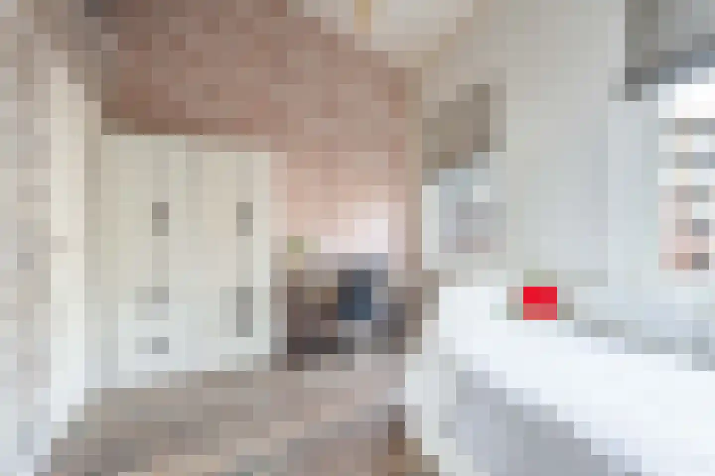 Tribunepad 2 Rijnsburg thumbnail 24